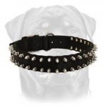 Black Nylon Spiked Dog Collar-Premuim Quality Nylon Dog Collar With 2 Rows Of Spikes