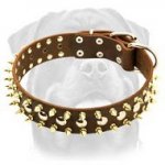 Extra Ordinary Leather Spiked & Studded Dog Collar for Strong and Active Rottweiler