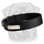 Get 2 Ply Nylon Dog Collar w/h name tag/Metal Buckle