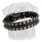New Leather Dog Collar - Fashionable Exclusive Design - "Caterpillar"