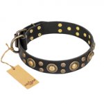 'Baroque Chic' FDT Artisan Studded Black Leather Rittweiler Dog Collar