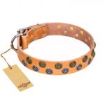 "Precious Sparkle" Exclusive Style FDT Artisan Tan Leather Collar for Stylish Rottweiler Outings