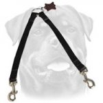 Stitched Nylon Coupler Leash for Walking 2 dogs