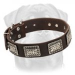 War Design Leather Dog Collar for Rottweiler