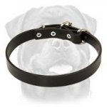 Durable Leather Dog Collar For Great Rottweiler Breed