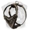 Exquisite Barbed Wire Painted Leather Harness for Your Rottweiler