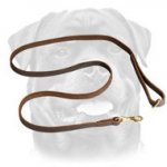 Leather Dog Leash Stitched with Wax Coated Threads