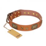 "Cosmic Traveller" FDT Artisan Adorned Leather Rottweiler Collar with Old Bronze-Plated Stars and Plates