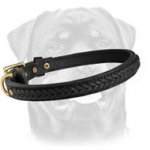 Gorgeous Leather Collar for Rottweilers - Decorated Walking Dog Collar