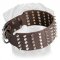 3 inch Spiked and Studded Rottweiler Collar