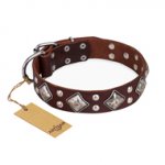 "King of Grace" FDT Artisan Stylish Leather Rottweiler Collar with Old Silver-Like Plated Decorations
