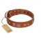 "Egyptian Gifts" Handmade FDT Artisan Tan Leather Rottweiler Collar with Chrome-plated Pyramids