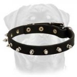 Spiked Leather Dog Collar-Handmade Dog Collar With Shiny Spikes-Designer Creation