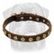 Gorgeous Leather Dog Collar With Dotted Brass Circles