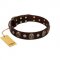 "Snazzy Paws" FDT Artisan Brown Leather Rottweiler Collar Adorned with Conchos and Medallions