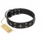 "Star Excitement" Modern FDT Artisan Black Leather Rottweiler Collar with Studs and Stars