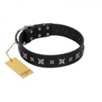 "Polar Lights" Designer FDT Artisan Black Leather Rottweiler Collar with Silver-Like Studs