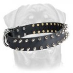 Leather Spiked Dog Collar for Rottweiler