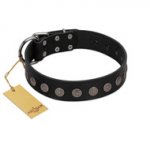 "Silent Star" Handmade FDT Artisan Designer Black Leather Rottweiler Collar with Engraved Plates