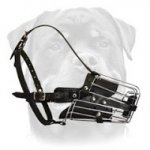 Fully Padded Easy Adjustable Dog Muzzle-Wire Cage Muzzle for Attack/Agitation Work