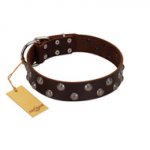 "Blossom Jewel" FDT Artisan Brown Leather Rottweiler Collar with Two Rows of Silver-like Studs with Engraved Flowers