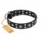 "Refined Essence" FDT Artisan Black Leather Rottweiler Collar with Silvery Studs