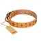 'Top-Flight' FDT Artisan Adorned Tan Leather Rottweiler Collar
