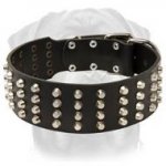 Pyramid Studded Leather Rottweiler Breed Collar-2 Inch Size