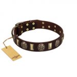 "Skull's Adventure" FDT Artisan Brown Leather Rottweiler Collar with Plates and Ovals