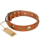 "Visual Magic" FDT Artisan Tan Leather Rottweiler Collar for Daily Activities