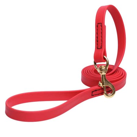 Red Waterproof Rottweiler Leash Made of Biothane