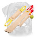 Set of Dog Bite Tugs for Efficient Training