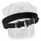 Padded Dog Collar - Large Dog Breeds Accessory - Rottweiler Collar with Padding 1 inch (2.5cm) width