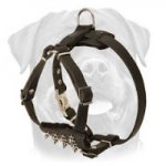 Leather Puppy Harness with Spiked Delicate Chest