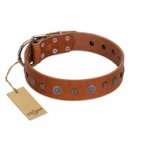 "Sweet Caramel" Designer FDT Artisan Tan Leather Rottweiler Collar