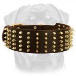 Decorated Leather Dog Collar with 5 Rows of Symmetrical Brass Spikes