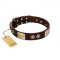 "Sense of Freedom" FDT Artisan Brown Leather Rottweiler Collar with Old Bronze-Plated Studs and Plates