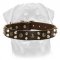 Custom Studded Leather Dog Collar for Rottweiler