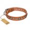 "Daily Chic" FDT Artisan Tan Leather Rottweiler Collar with Decorations