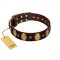 "Crystal Mirror" FDT Artisan Handmade Brown Leather Rottweiler Collar - 1 1/2 inch (40 mm) Wide