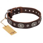 "Extra Pizzazz" FDT Artisan Adorned Brown Leather Rottweiler Collar