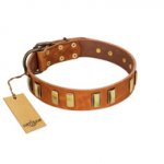"Olive Slice" FDT Artisan Tan Leather Rottweiler Collar with Engraved and Smooth Plates