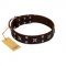 "Bigwig Woof" FDT Artisan Brown Leather Rottweiler Collar with Chrome Plated Stars and Square Studs