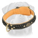 Royal Leather Rottweiler Collar with Inside Nappa Leather Lining