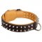 Leather Spiked Dog Collar - 2 Rows of spikes collar