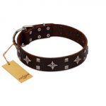 "Trendy Candy" FDT Artisan Brown Leather Rottweiler Collar Adorned with Stars and Tiny Squares