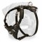 Rottweiler Agitation/ Protection Leather Harness