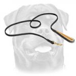 Handmade Leather Dog Leash for Rottweiler