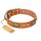 "Saucy Nature" FDT Artisan Tan Leather Rottweiler Collar with Old Bronze Look Plates and Skulls