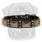 Best Spiked Leather Dog Collar-Massive Look Rusted Nickel Plated Plates